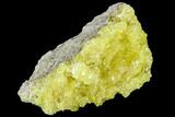 Bright Yellow Sulfur Crystals on Matrix - Bolivia #104775-1